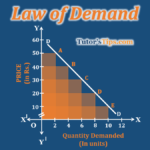 Law-of-Demand-Feature-Image