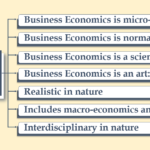 Nature of Business Economics