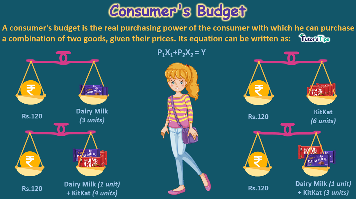 consumer budget