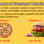 thoery-of-consumer-behaviour-min