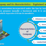 What-is-the-Company-and-its-Characteristics-min