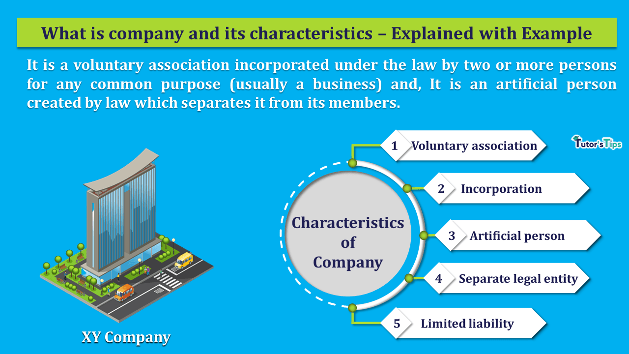 What-is-the-Company-and-its-Characteristics-min