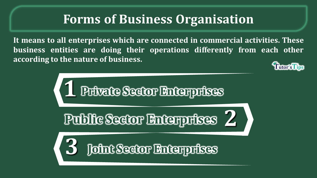 Forms-of-Business-Organisation-min-1