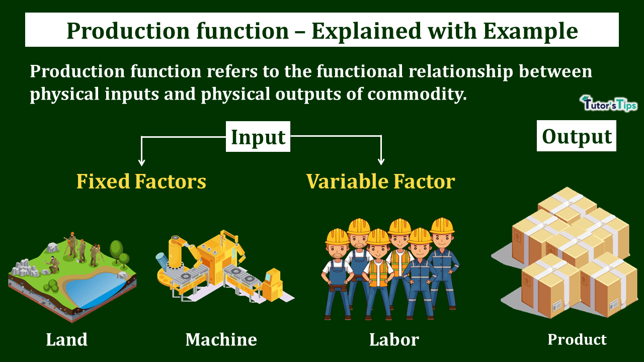 Production-Function-Meaning-and-Types