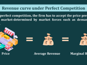 Revenue-curve-under-Perfect-Competition-min