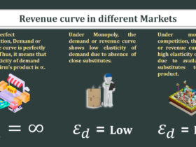 The-elasticity-of-demand-or-revenue-curve-in-different-Markets