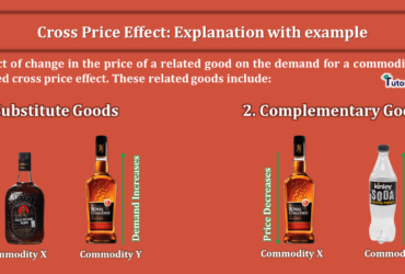Cross-Price-Effect-Explanation-with-example-min