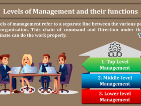 Levels-of-Management-and-their-functions-min