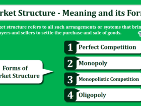 Market-Structure-Meaning-and-its-Forms