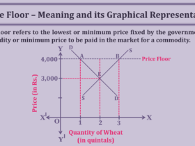 Price-Floor–Meaning-and-its-Graphical-Representation-min