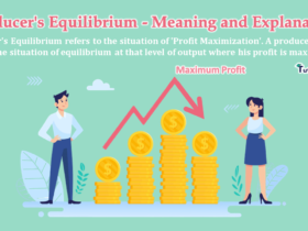 Producers-Equilibrium-Meaning-and-Explanation-min