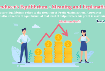 Producers-Equilibrium-Meaning-and-Explanation-min