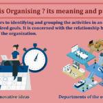 What-is-Organising-its-meaning-and-process-min