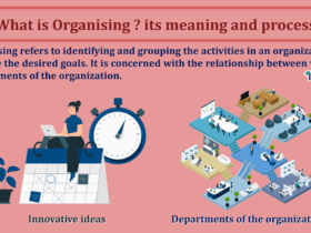 What-is-Organising-its-meaning-and-process-min