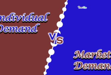 Difference-between-Individual-Demand-and-Market-Demand-min