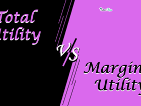 Difference-between-total-utility-and-marginal-utility-min