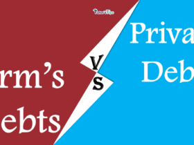 Firm's Debts and Private debts