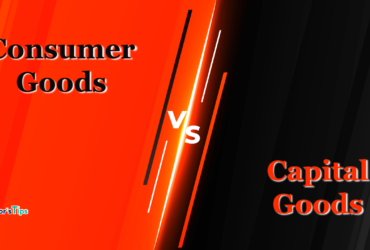Difference-between-Consumer-Goods-and-Capital-Goods-min (1)