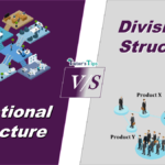Difference-between-FDifference-between-Functional-and-Divisional-Structureunctional-and-Divisional-Structure-min
