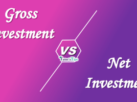 Difference-between-Gross-Investment-and-Net-investment-min