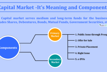 Capital-Market-Its-Meaning-and-Components-min